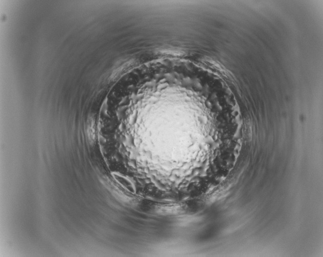 X0000059850479200510211218