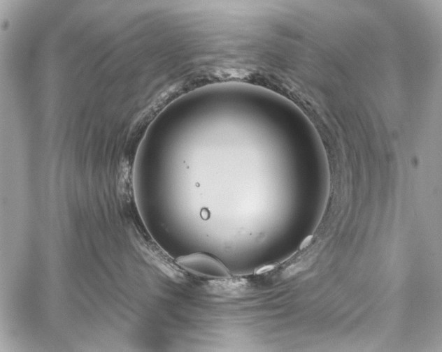 X0000059850480200510211218