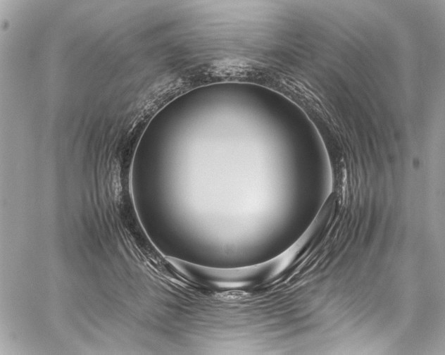 X0000059850508200510211216