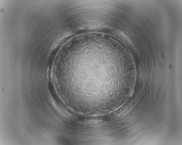 X0000059850542200510211215
