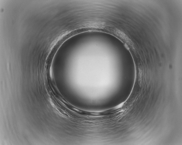 X0000059850580200510211215