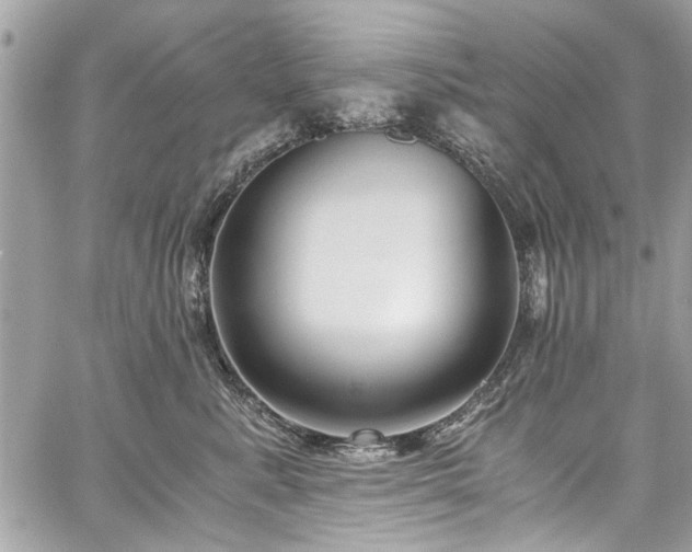 X0000059850619200510211214