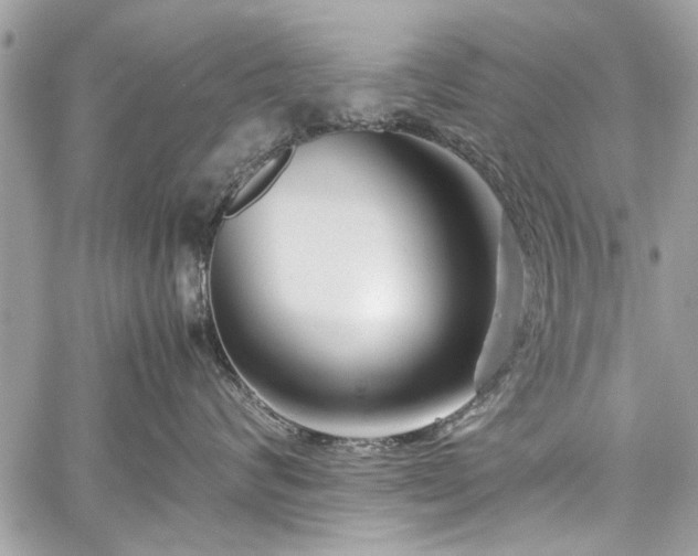 X0000059850624200510211214