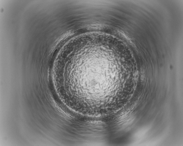 X0000059850637200510211214
