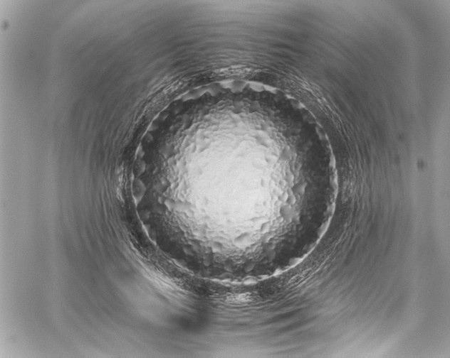 X0000059850647200510211214