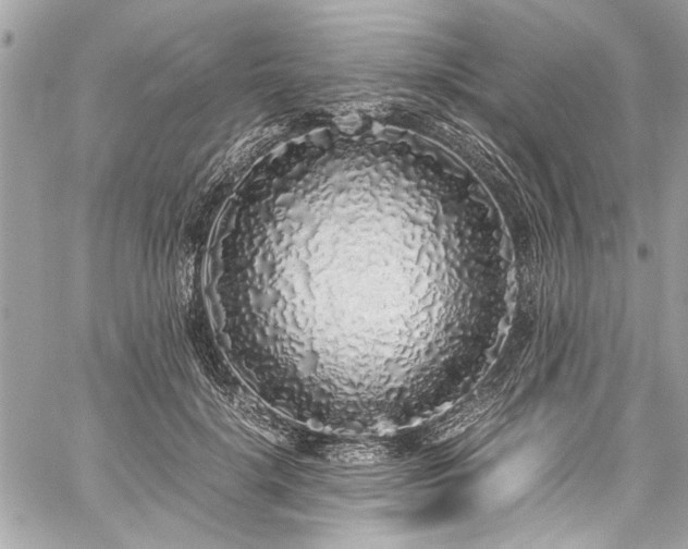 X0000059850652200510211214