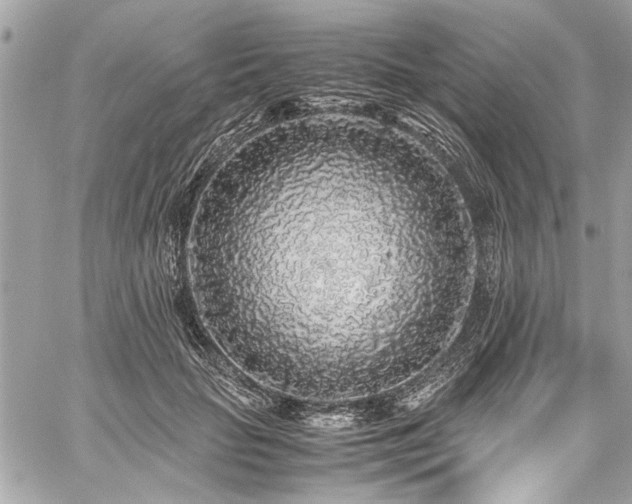 X0000059850653200510211214