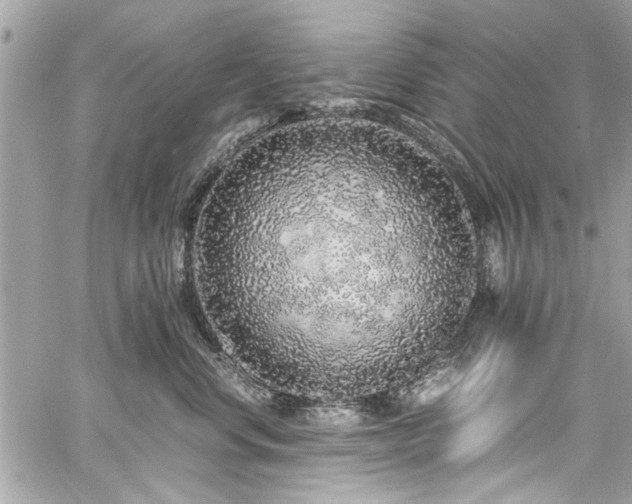 X0000059850668200510211214