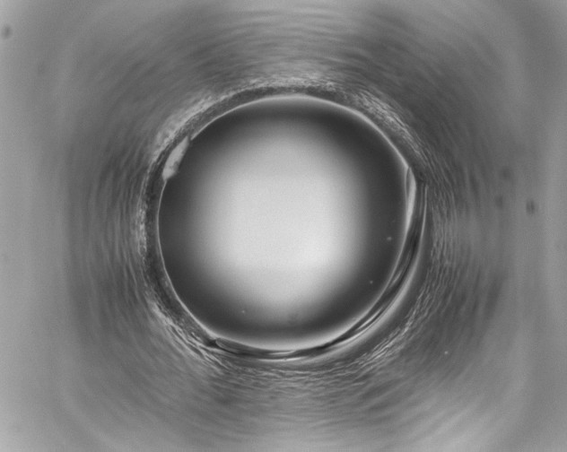 X0000059850676200510211213