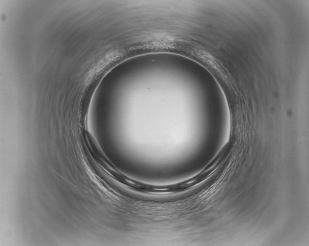 X0000059850677200510211213