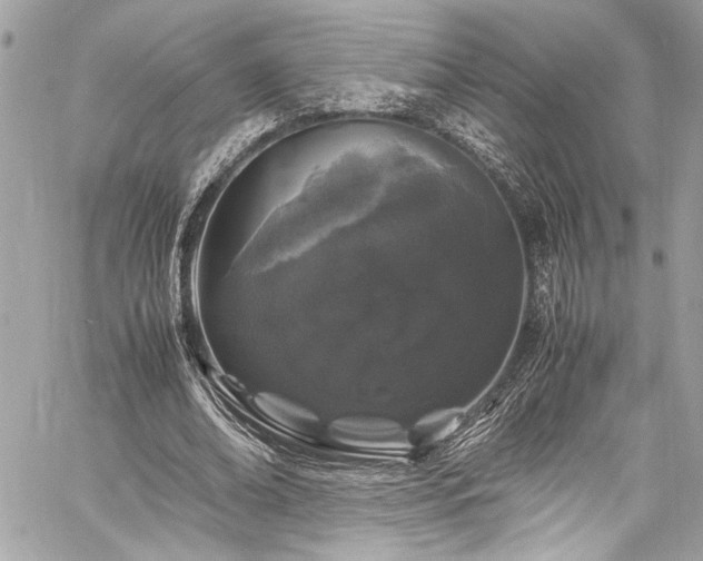 X0000059850678200510211213