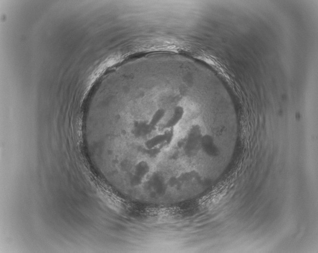 X0000059850679200510211213