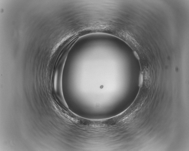 X0000059850684200510211213