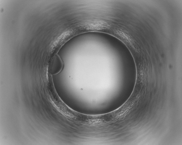 X0000059850686200510211213