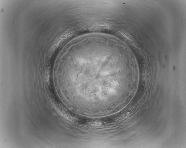 X0000059850687200510211213