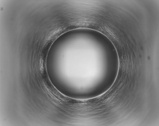 X0000059850692200510211213