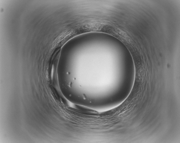 X0000059850693200510211213