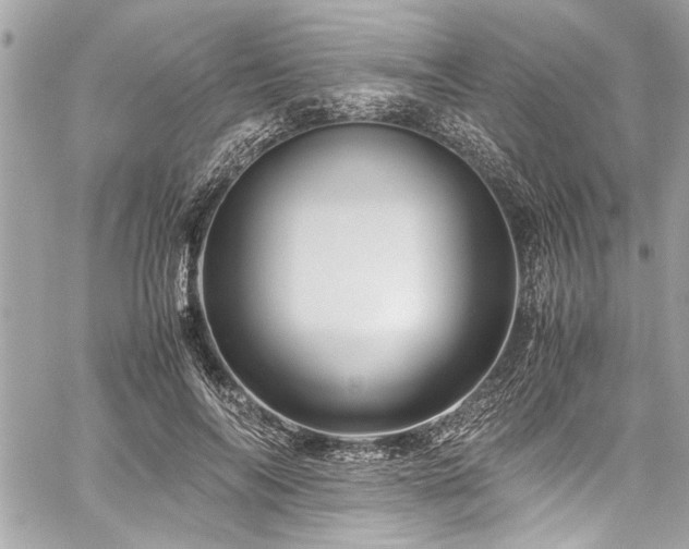 X0000059850694200510211213