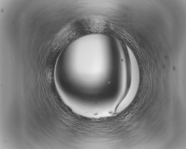 X0000059850697200510211213