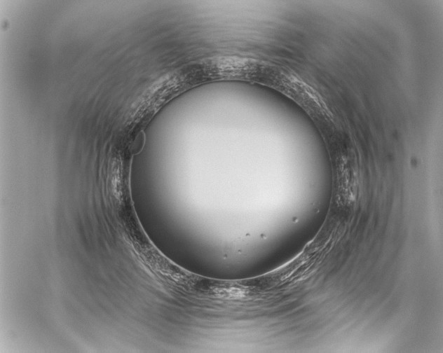 X0000059850698200510211213