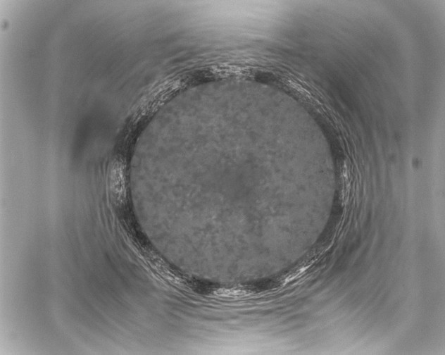 X0000059850699200510211213