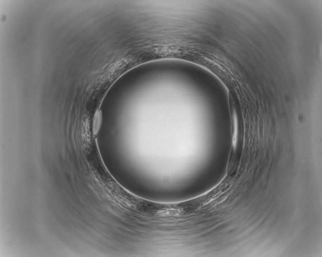 X0000059850700200510211213