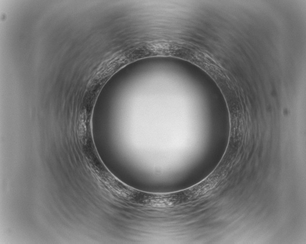 X0000059850702200510211213