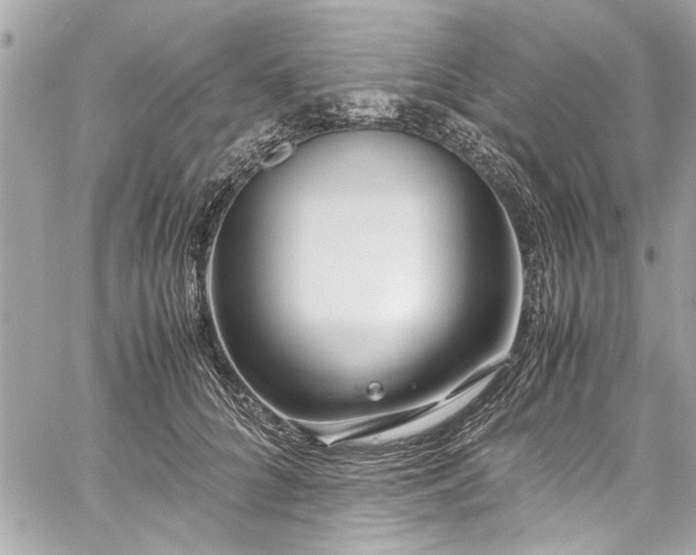 X0000059850704200510211213