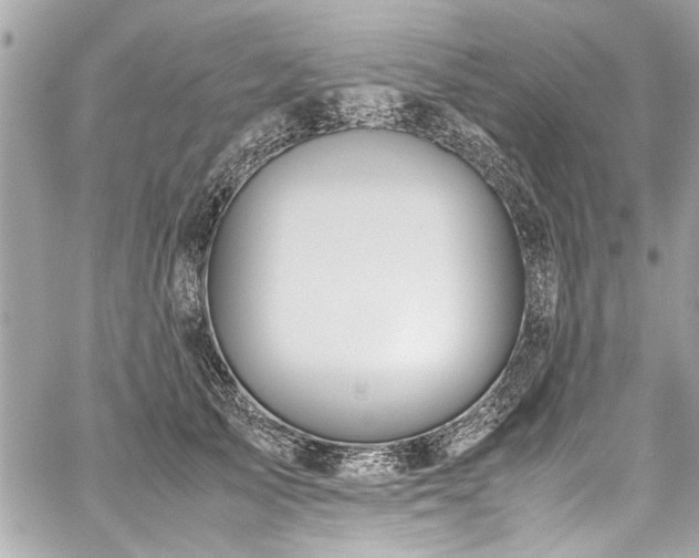 X0000059850705200510211213