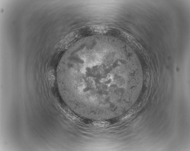 X0000059850707200510211213