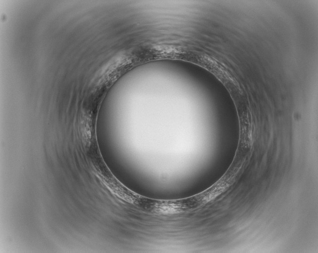 X0000059850710200510211213