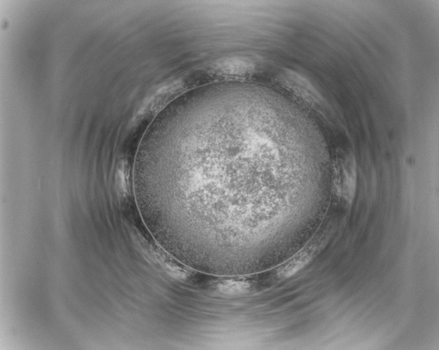 X0000059850718200510211213