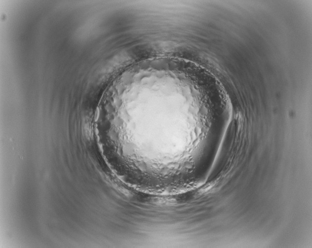 X0000059850719200510211213