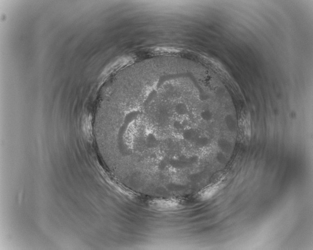 X0000059850765200510211213