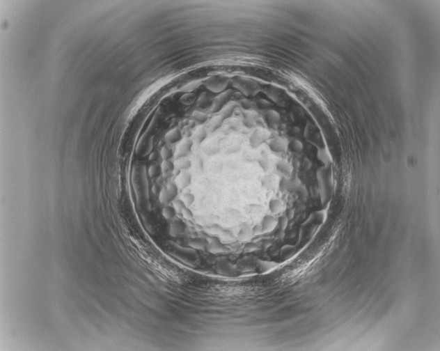 X0000059850829200510211211