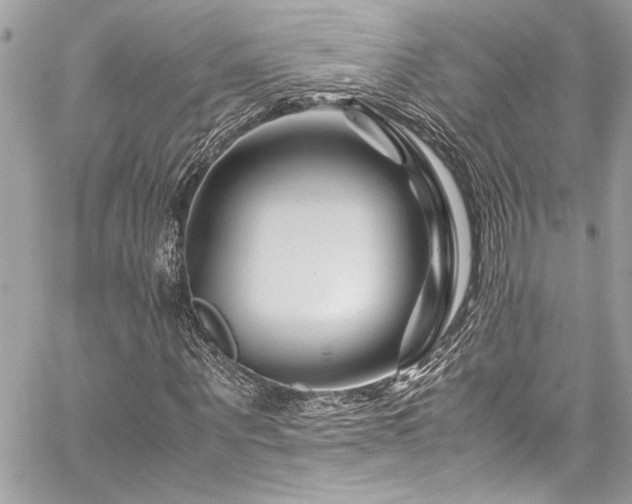X0000059850867200510211210