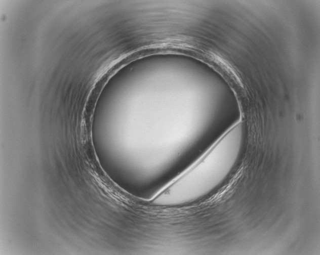X0000059850876200510211210