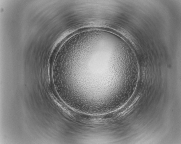 X0000059850982200510211208