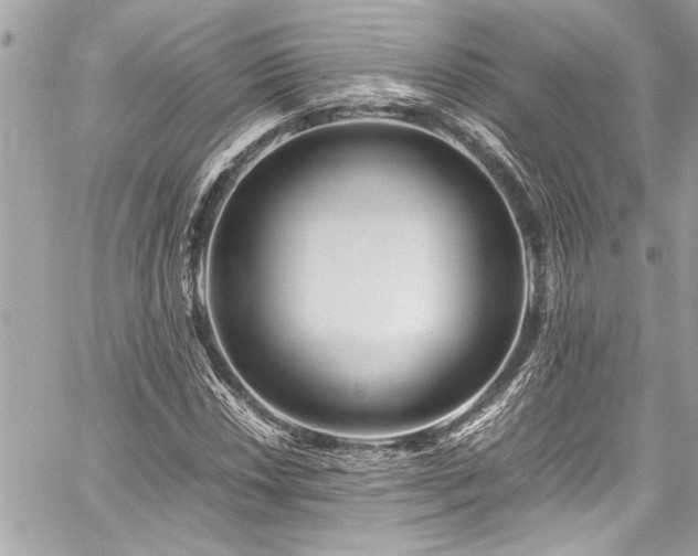 X0000059851018200510211207