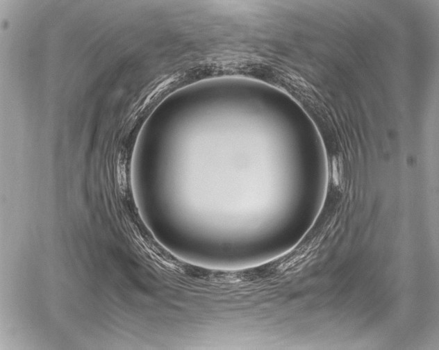 X0000059851155200510211206