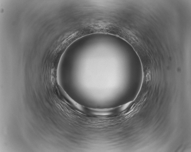 X0000059851156200510211206