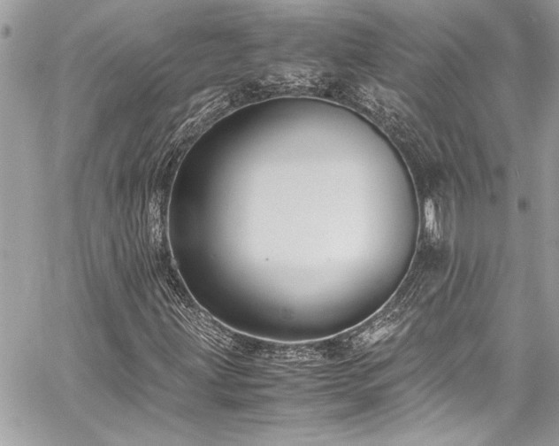 X0000059851203200510211204