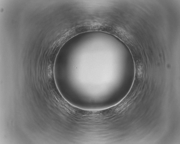 X0000059851204200510211204