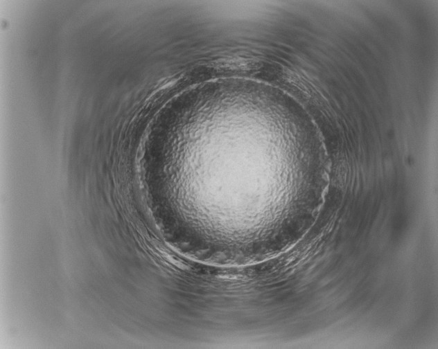 X0000059851297200510211202