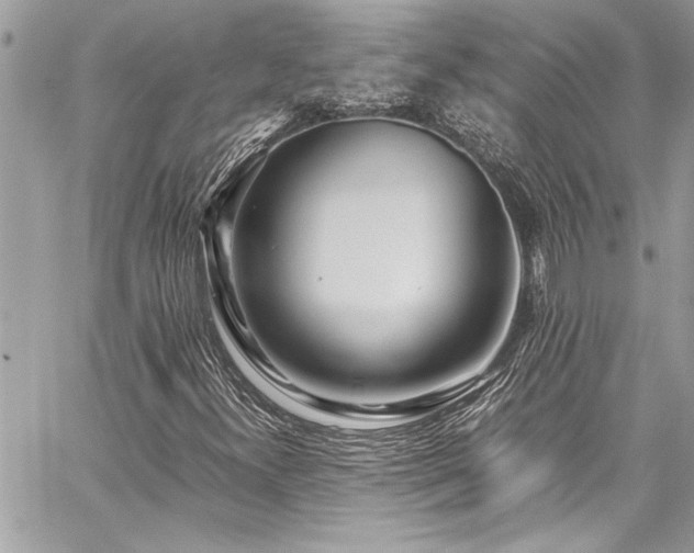 X0000059851300200510211202