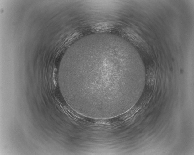X0000059851346200510211202