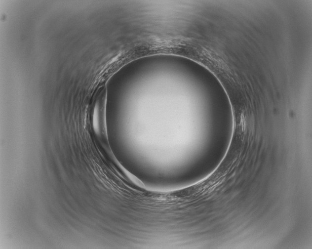 X0000059851348200510211202