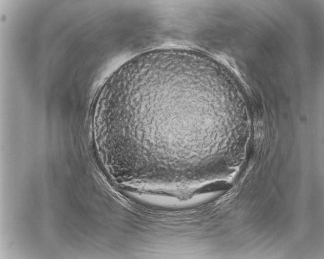 X0000059851367200510211202