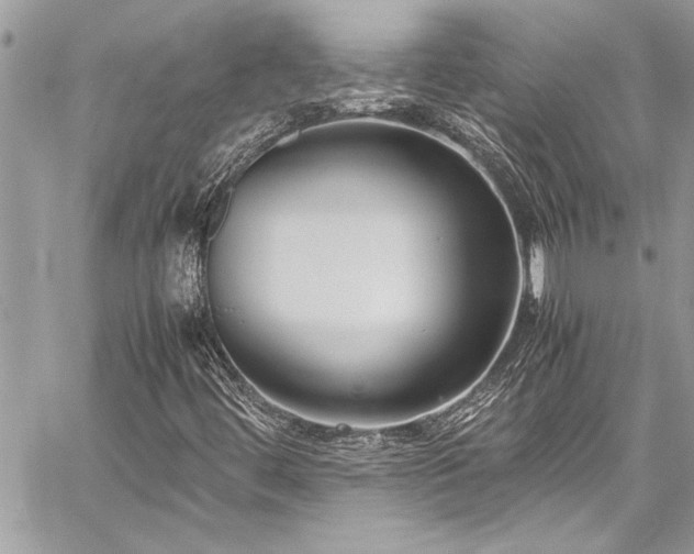X0000059851444200510211201