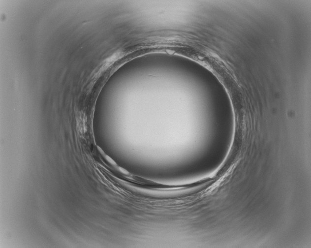 X0000059851449200510211201